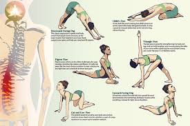Yoga-for-back-pain-poses-and-a-techniques.