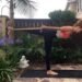 How-to-use-yoga-props-to-enhance-yours-practice.How-to-use-yoga-props-to-enhance-yours-practice.